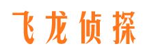 延川侦探公司